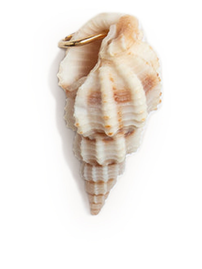 CIONDOLO CONCHIGLIA NATURALE