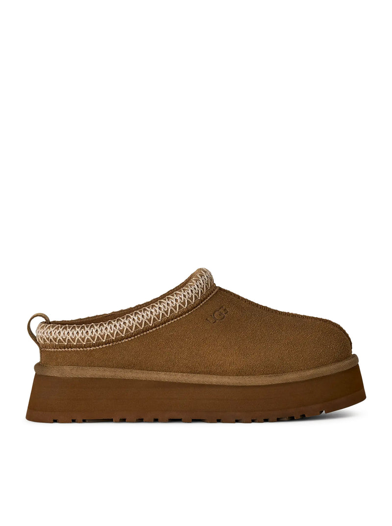 TAZZ II