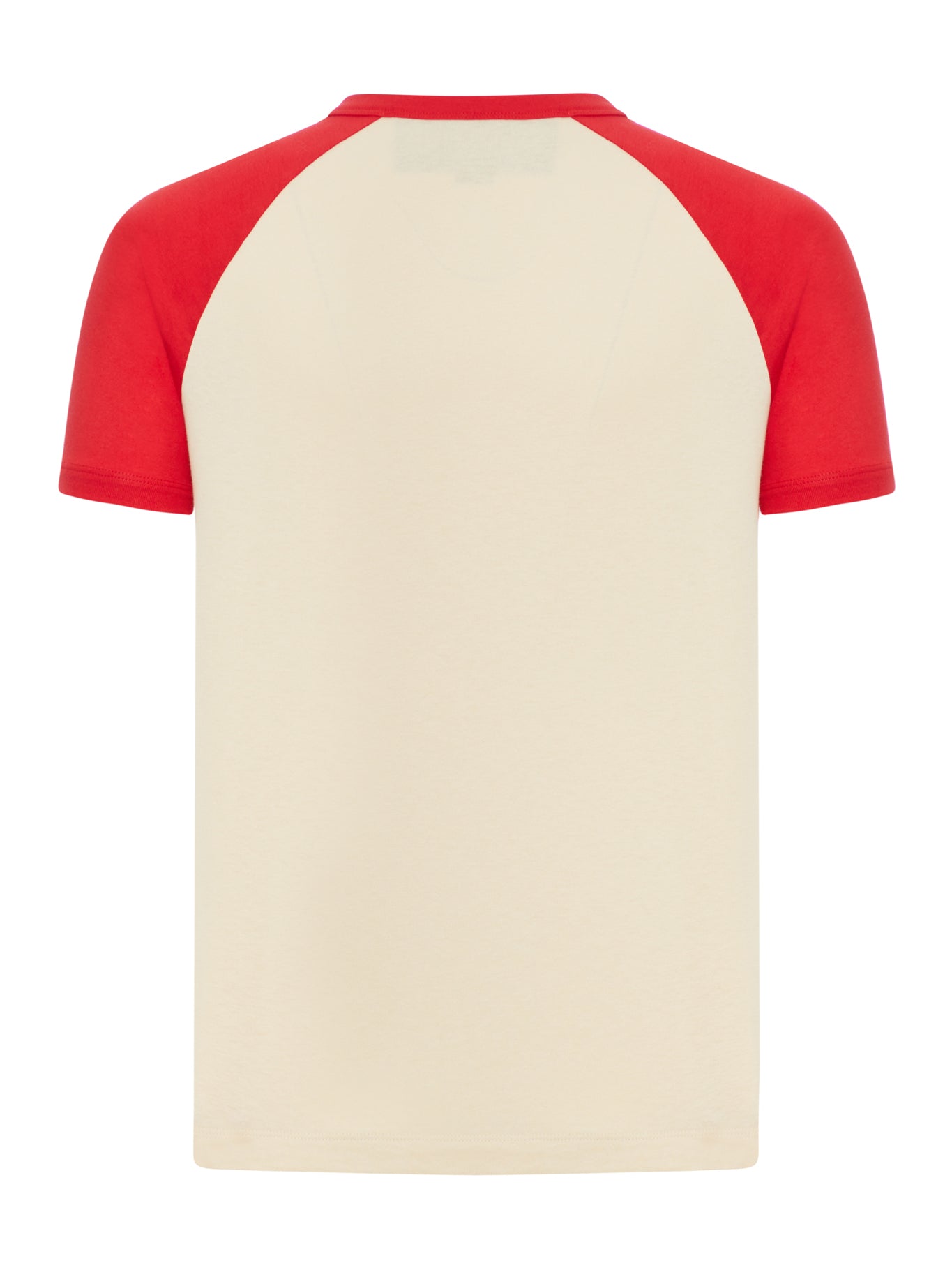 T-SHIRT IN COTONE
