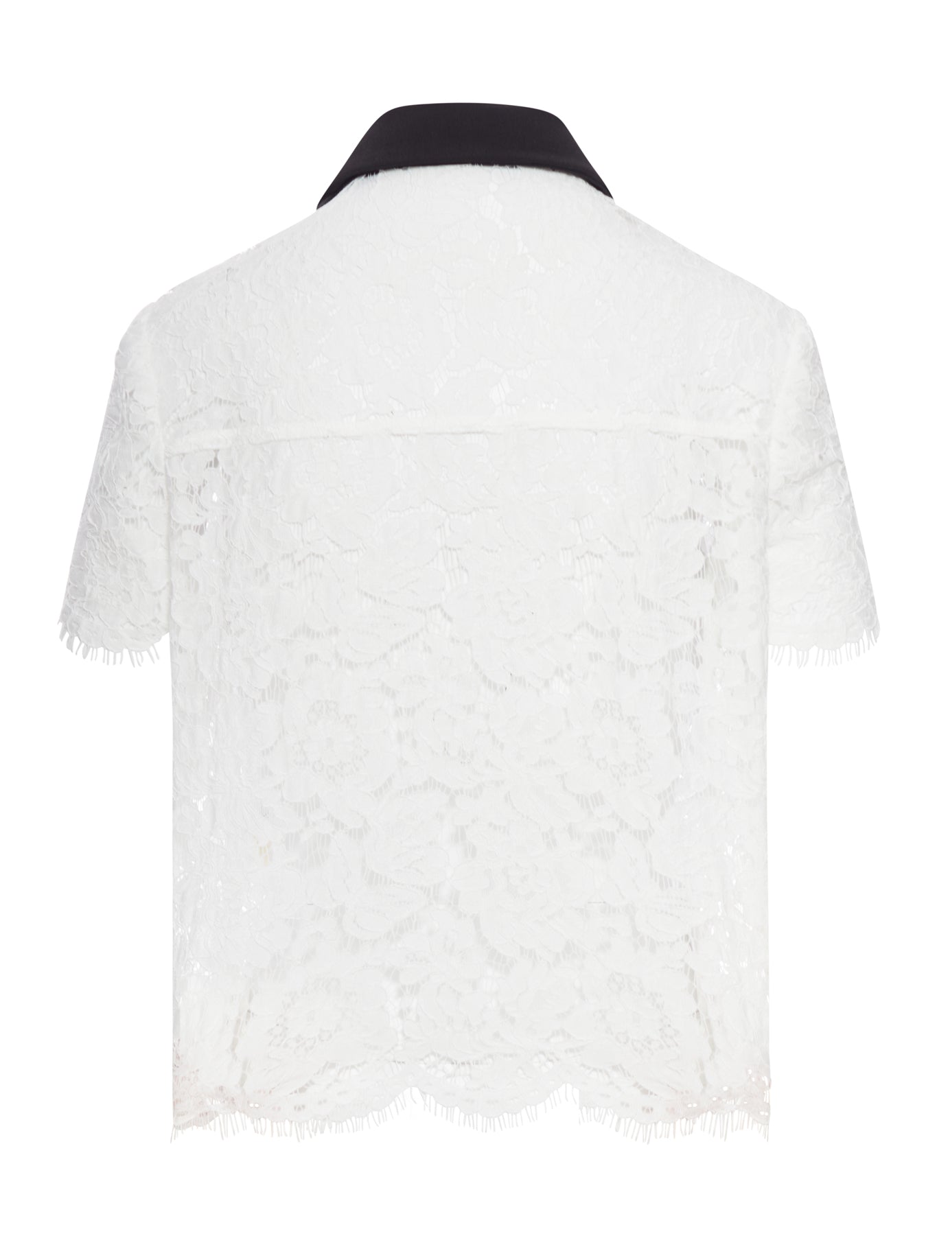TOP IN PIZZO