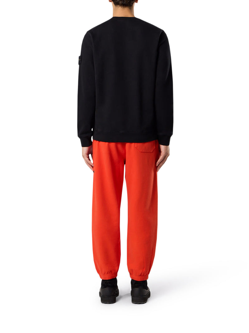 FELPA GIROCOLLO IN COTONE CON LOGO COMPASS