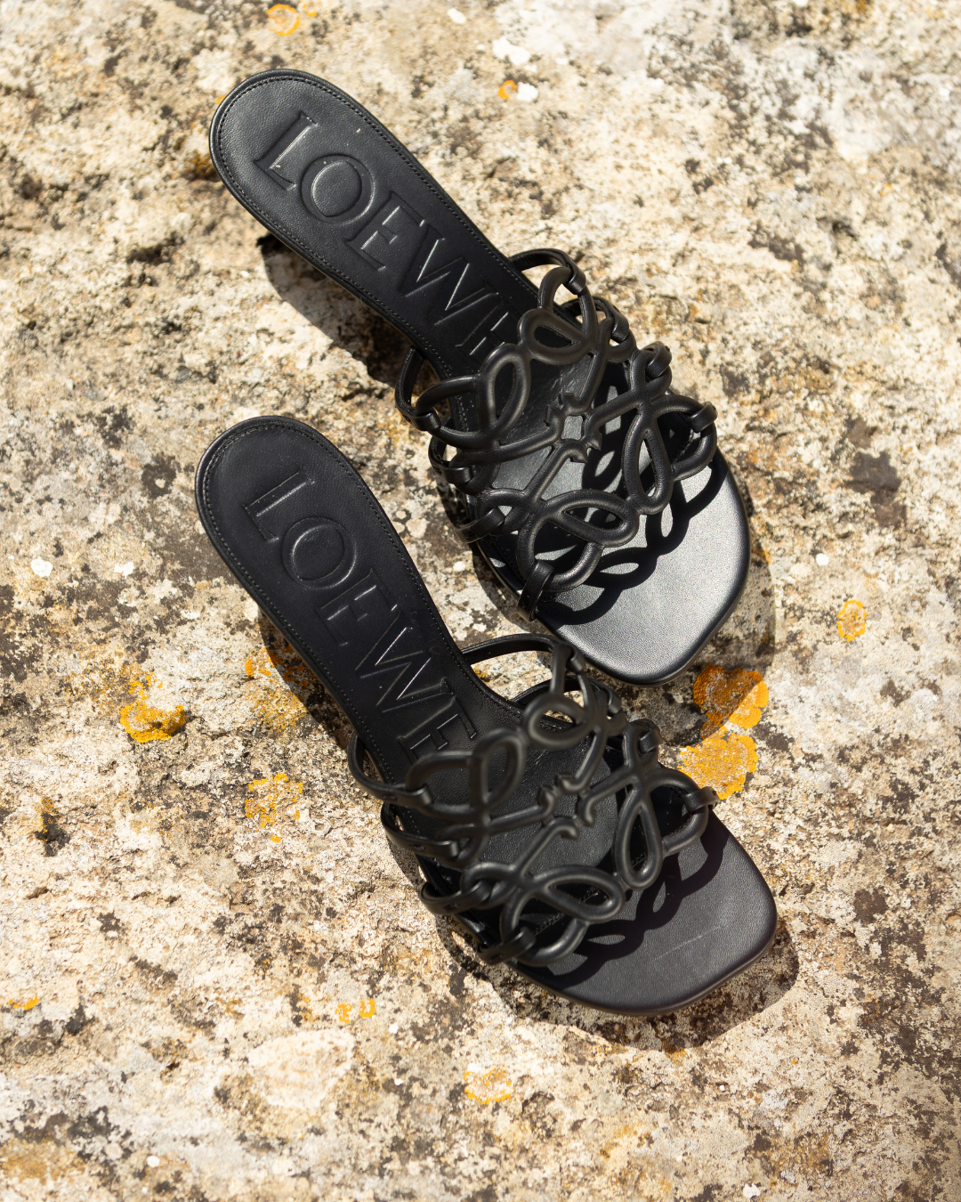 LOEWE X PAULA'S IBIZA